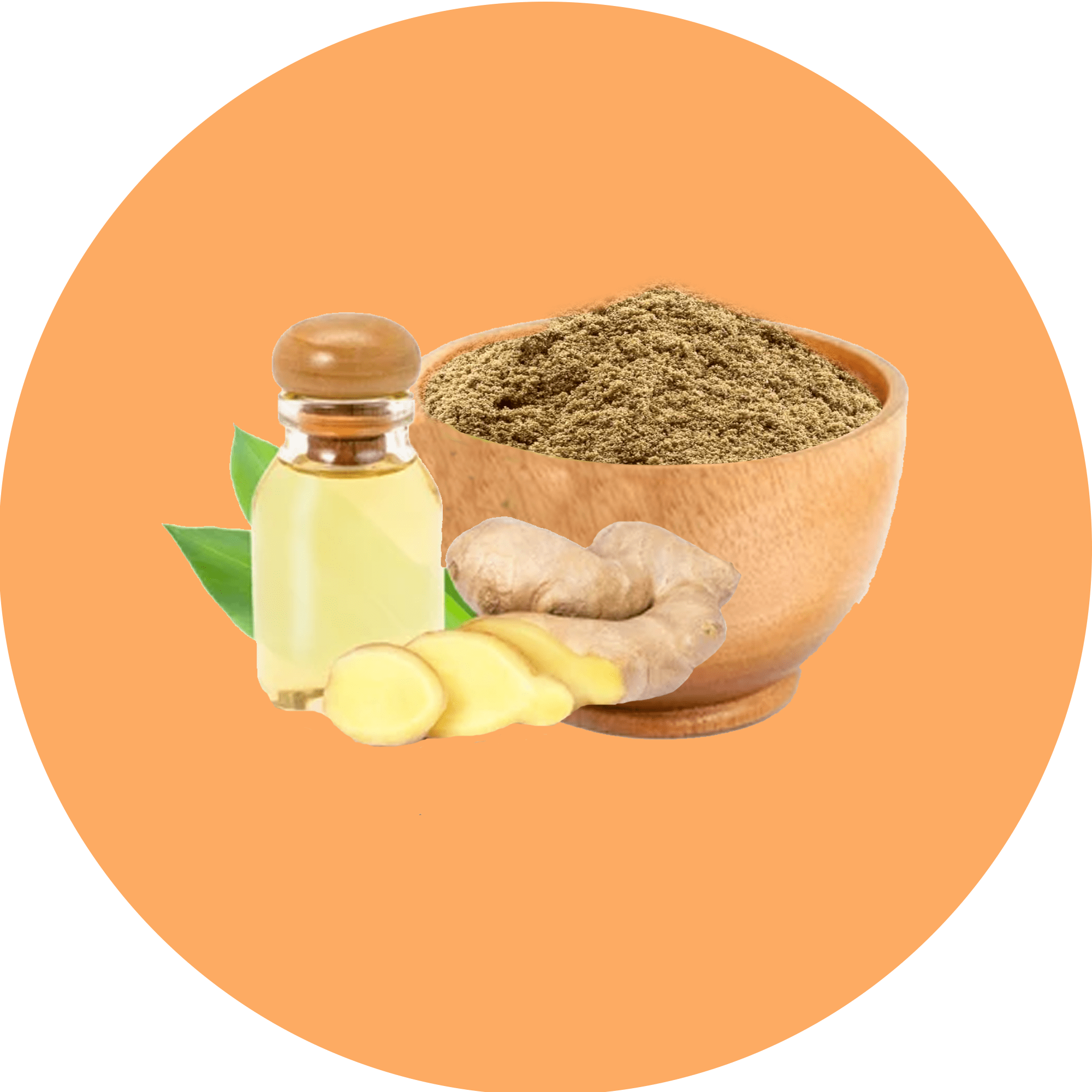 Ginger Root Extract