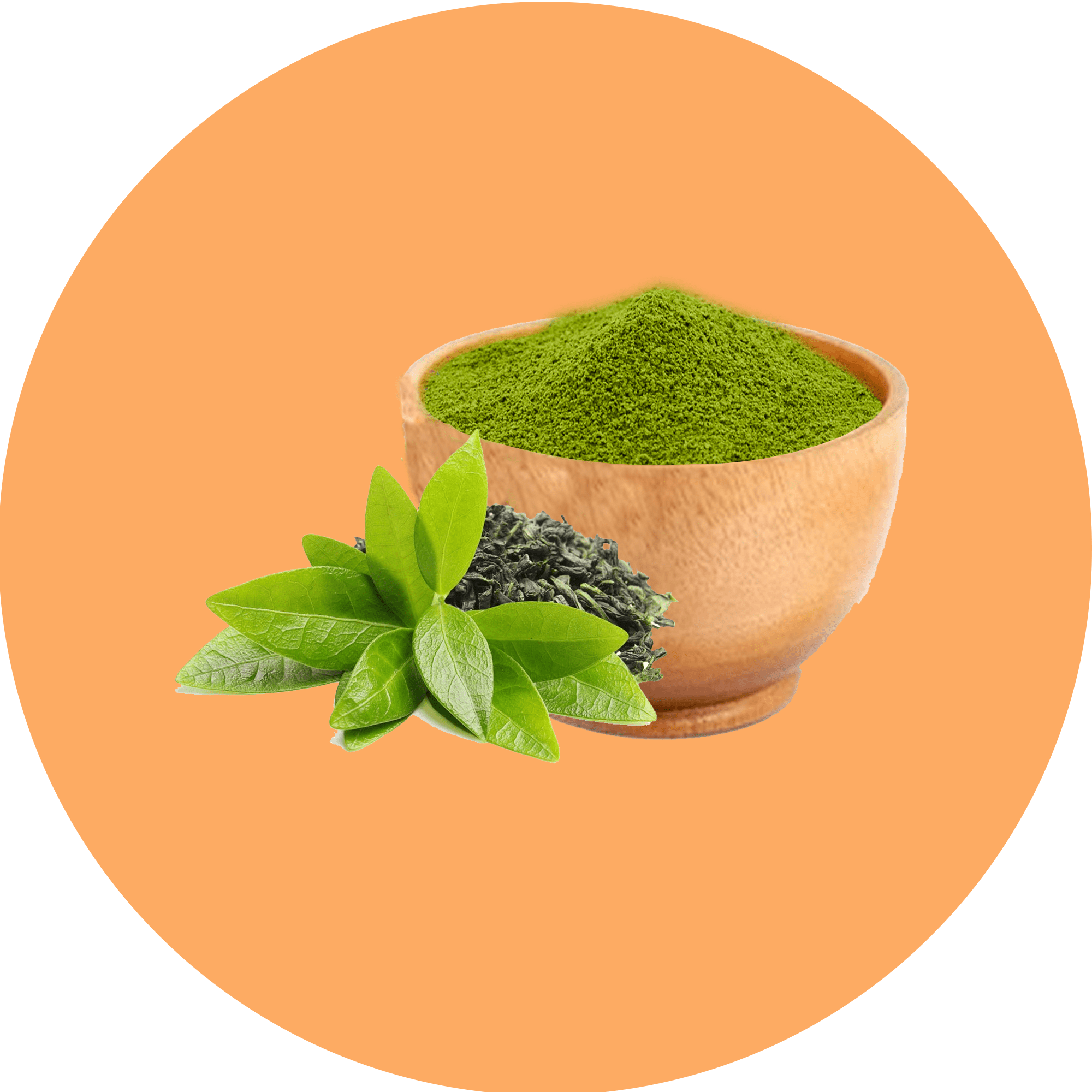 Green Tea Extract