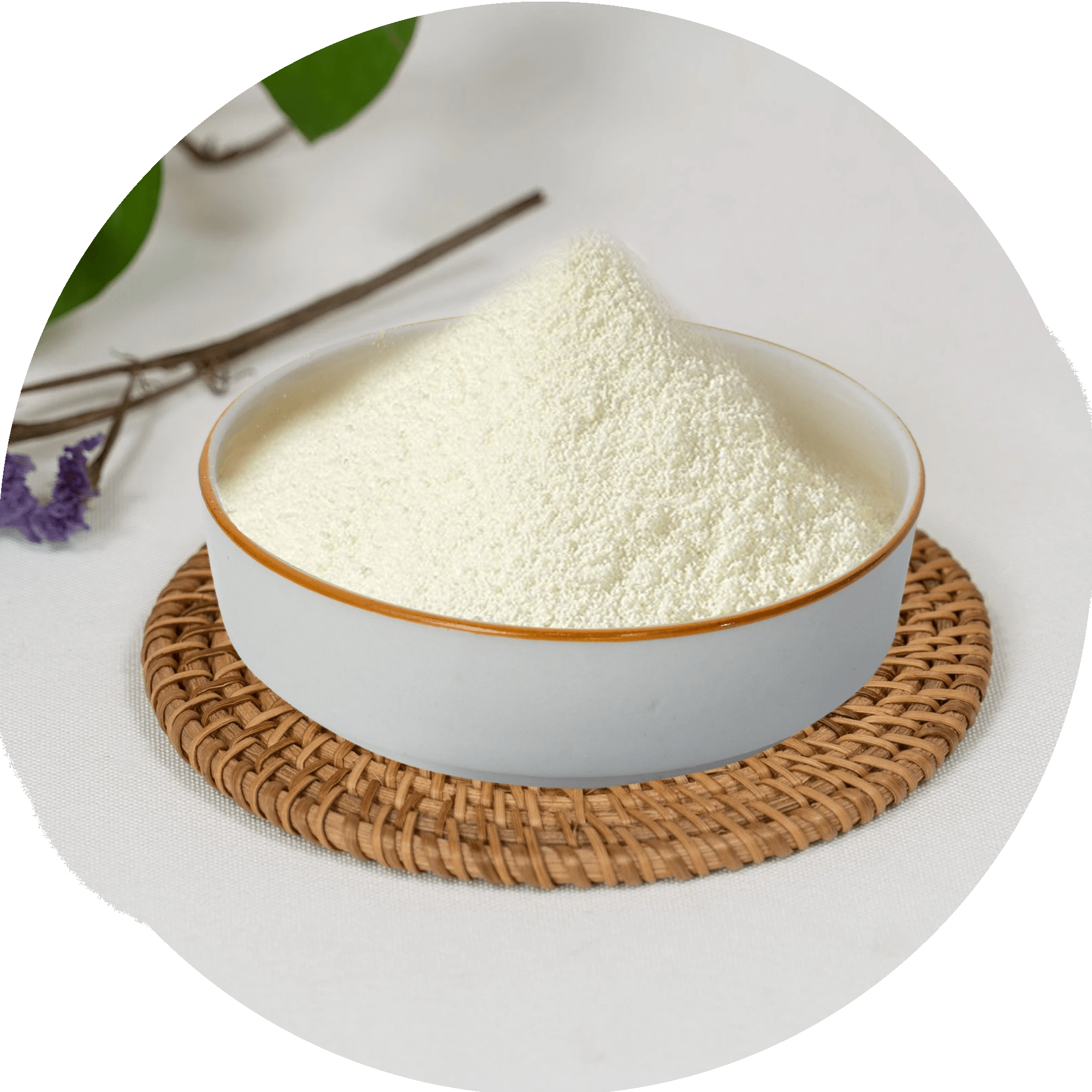 Hydrolyzed Bovine Collagen Type 1 & 3